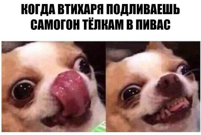 С миру по нитке 11.01.21