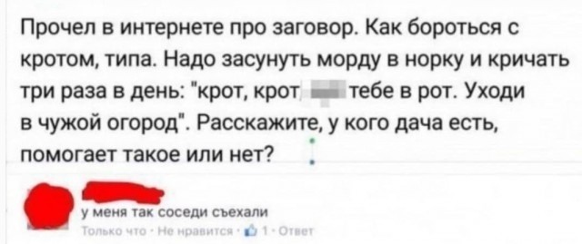 Дебилизмы из сети 8.02.21