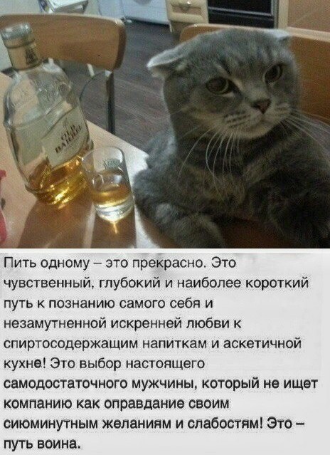 20 февраля - День профессионального алкоголика