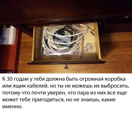 Весёлый полтишок 25.05