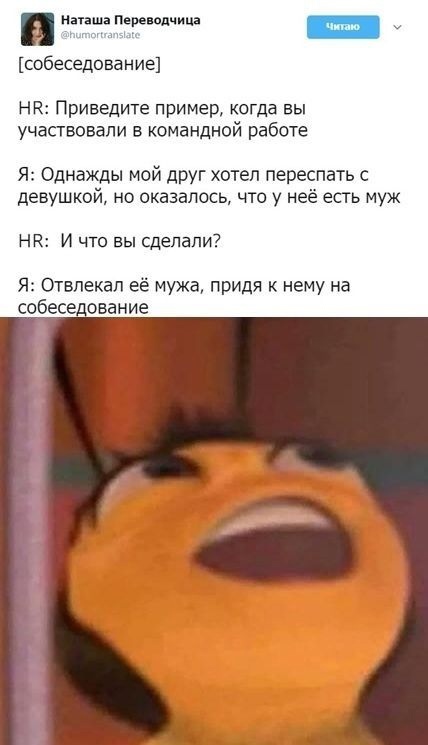 Весёлый полтишок 23.07