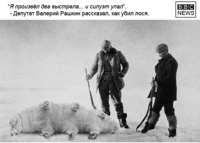 Всяческие картинки 20.12.2021