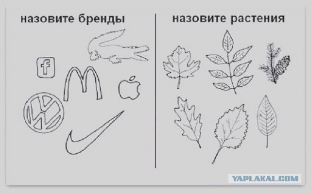Картинки с надписями и всякие жизненные фразы