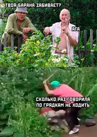 Картинки и мемы из Сети 24.07.22