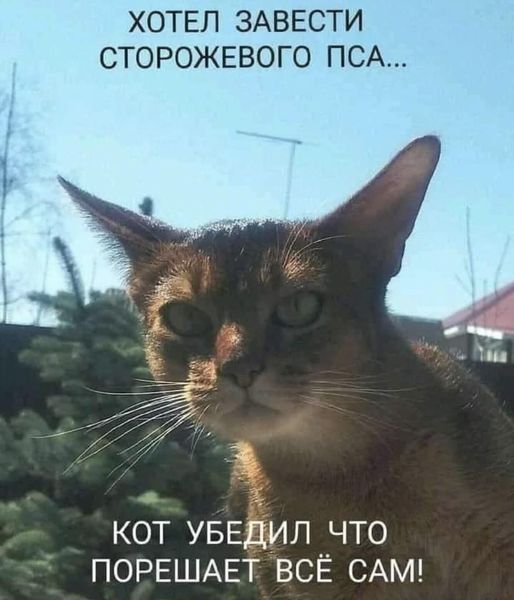 Картинки и мемы для настроения - 17