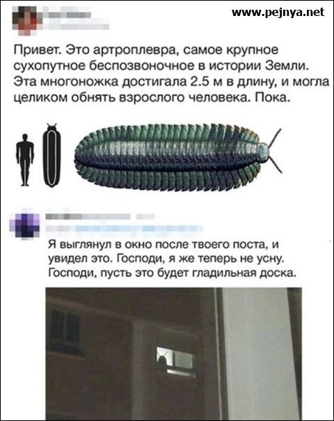 Пережившим похмелье