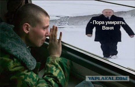 Котомузыка