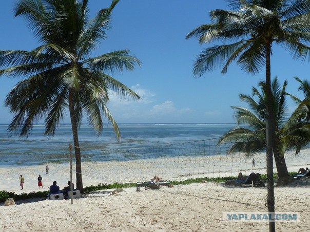 AFRICA - (Эфиопия,Кения,Танзация) 4-16 ноября 2011