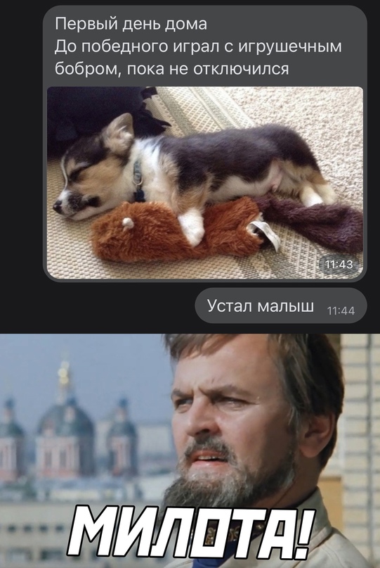 Картинки и мемы, всяко разно - 171