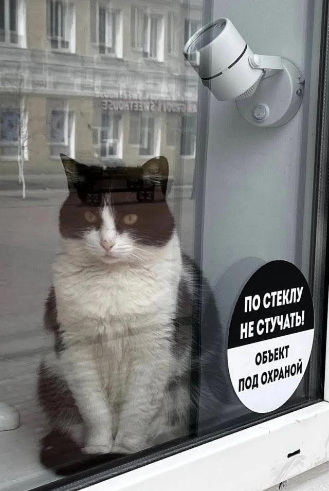 Пожалуй, лучше и не скажешь