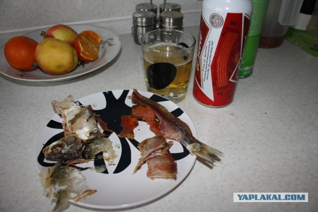 Обычное субботнее утро! 18+