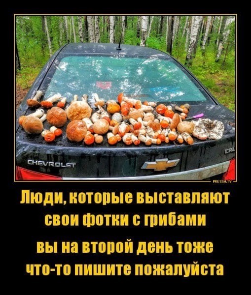 Весёлый полтишок 15.09.23