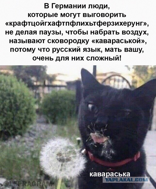 Сложный русский язык