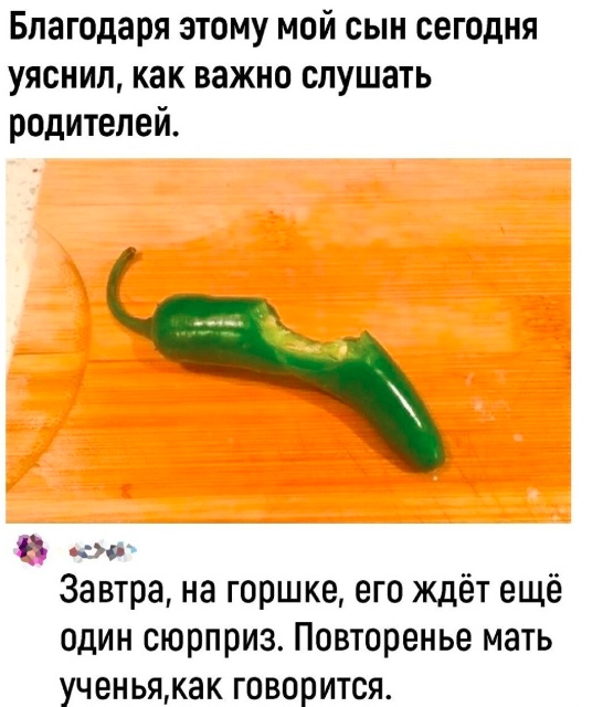 Отряд быстрого деградирования