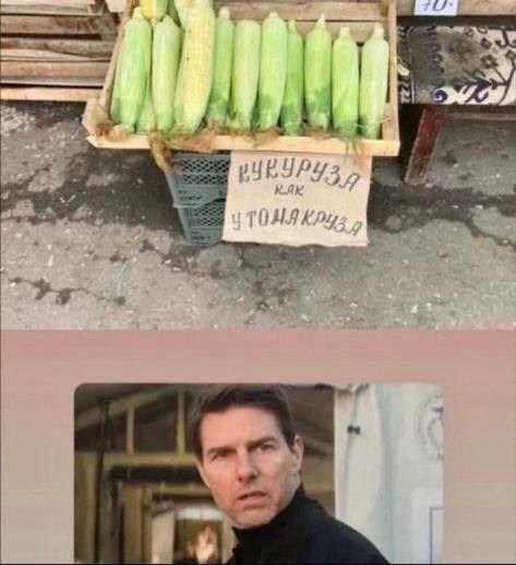 Это любовь, бро