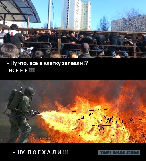 Угадайте, что происходит на видео