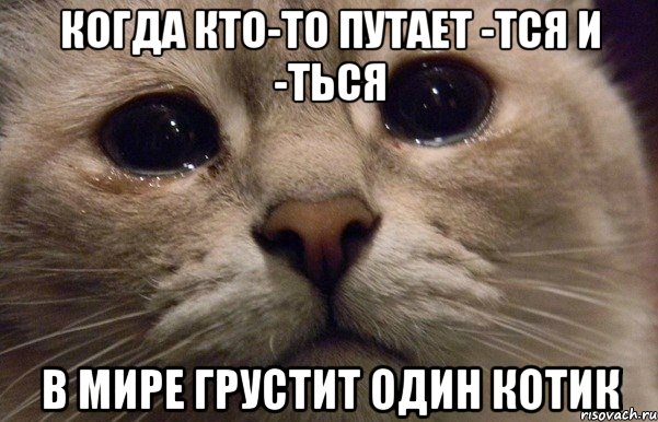 Когда услышал новое слово, но не знаешь его значения
