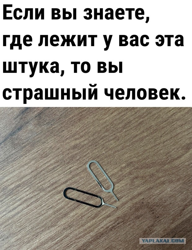 Весёлый полтишок 23.01.24