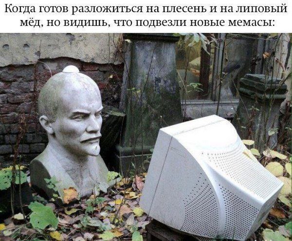Так себе картинки 04.05.24