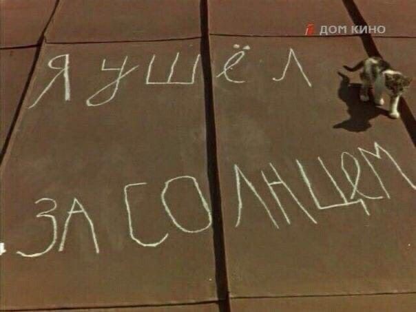 Прикольные и просто красивые картинки 14.06.24