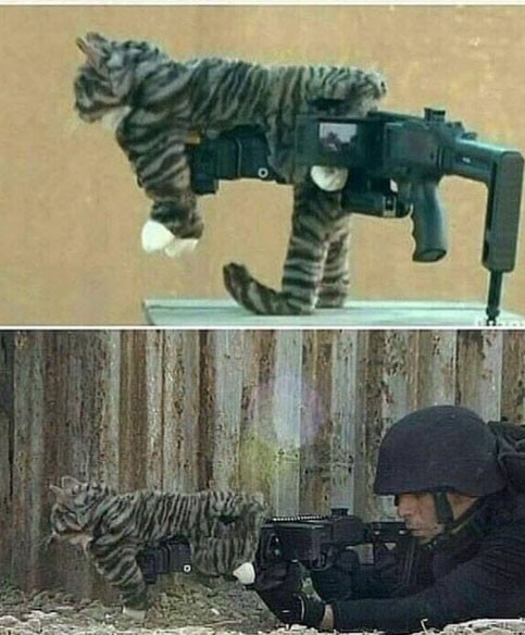 Картинки, буквы. В спорадическом порядке