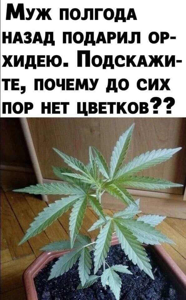 Всего понемногу. От 05.08.24