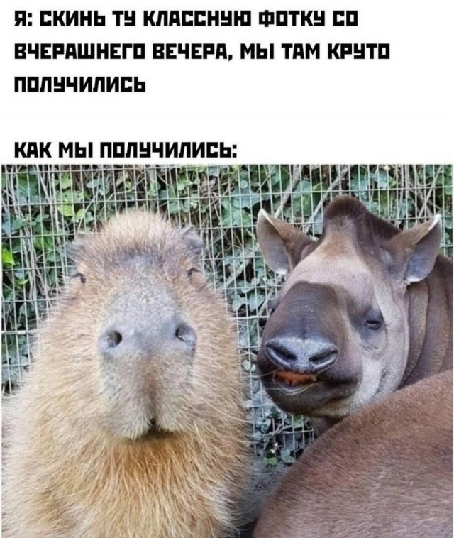 Завалялось тут случайно немного забавных картинок