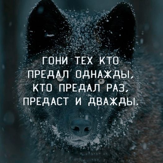 Картинки разные с надписями и без