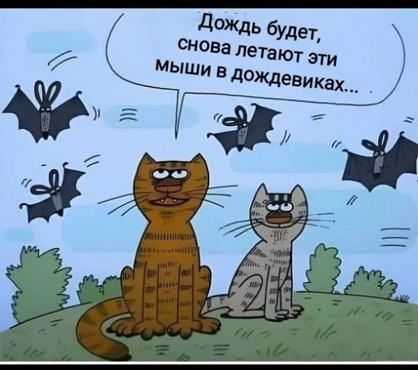 Так себе картинки 29.12.24