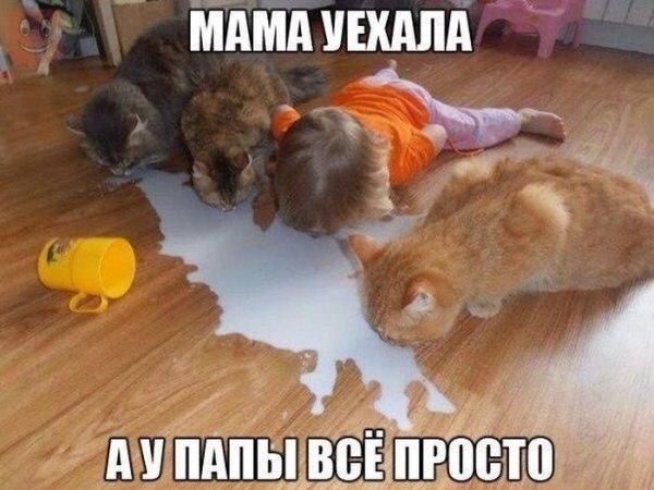 Так себе картинки 12.02.25