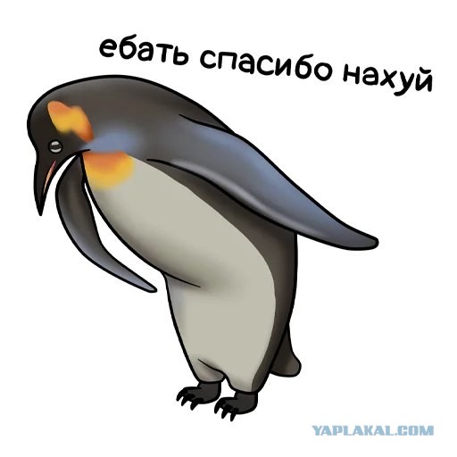 Центробанк сохранил ключевую ставку — на уровне 21% годовых