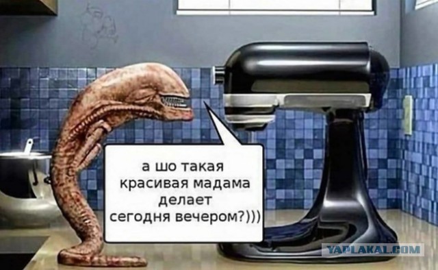 Всякая всячина
