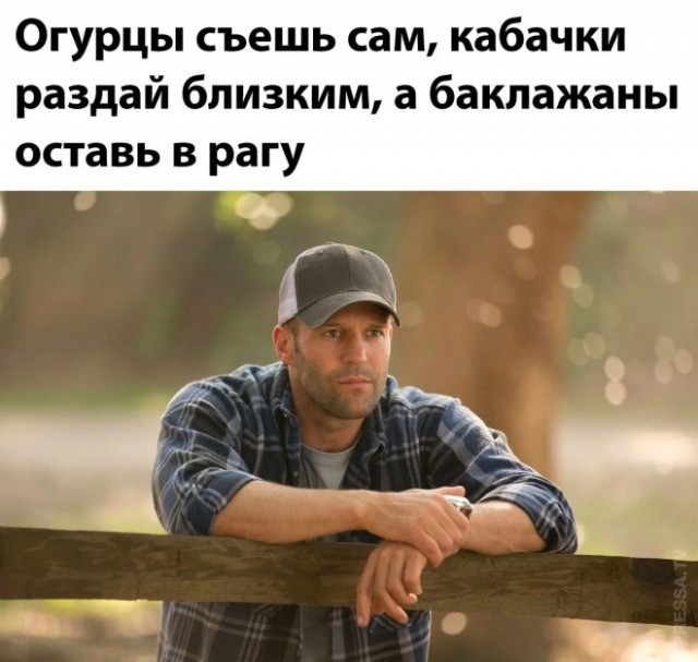 Праздничная дичь. Ударная доза