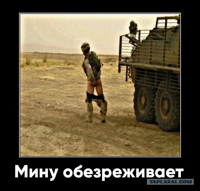 Картинки для деградации 12 (разной степени свежести)
