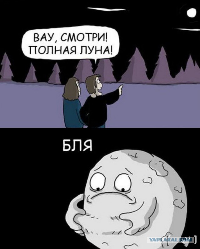 40 косвенных доказательств и аргументов, что США не были на Луне