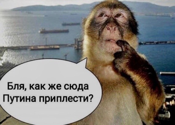 Глава Минэнерго возложил на граждан ответственность за нехватку бензина