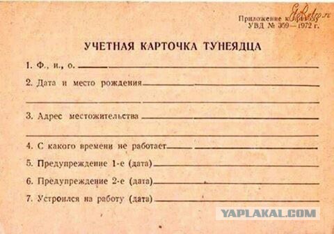 В России могут ввести закон о наказании за тунеядство