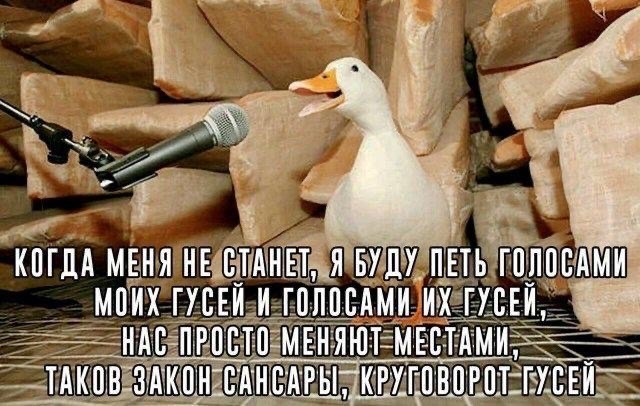 Веселое настроение в картинках (20.11.2025)