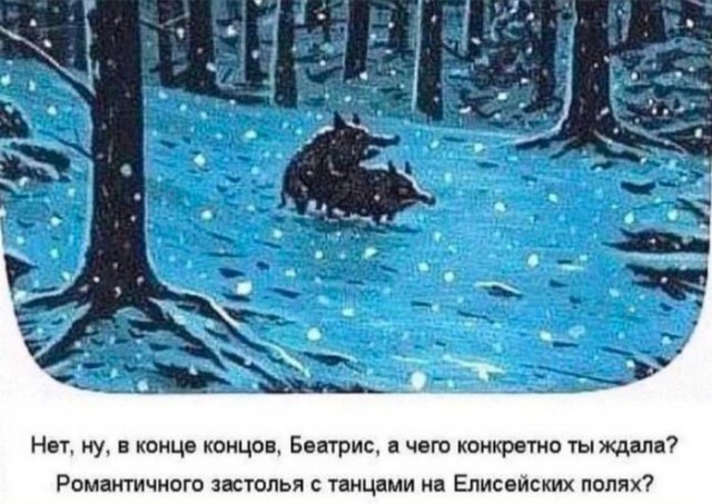 Картинки для деградации 95 (разной степени свежести)