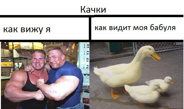 Качки оказались плохими в сексе