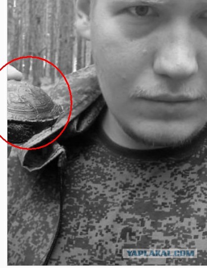 Сын Дацика погиб на сво