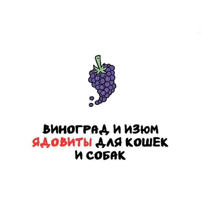 Интересные и короткие факты на все случаи жизни 19.04.26