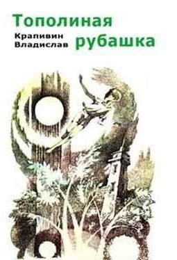 Смотрите не перепутайте