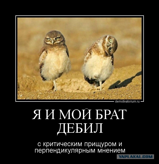 Я рукожоп.