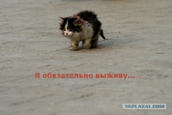 Знаете, почему у нашего общества нет будущего?