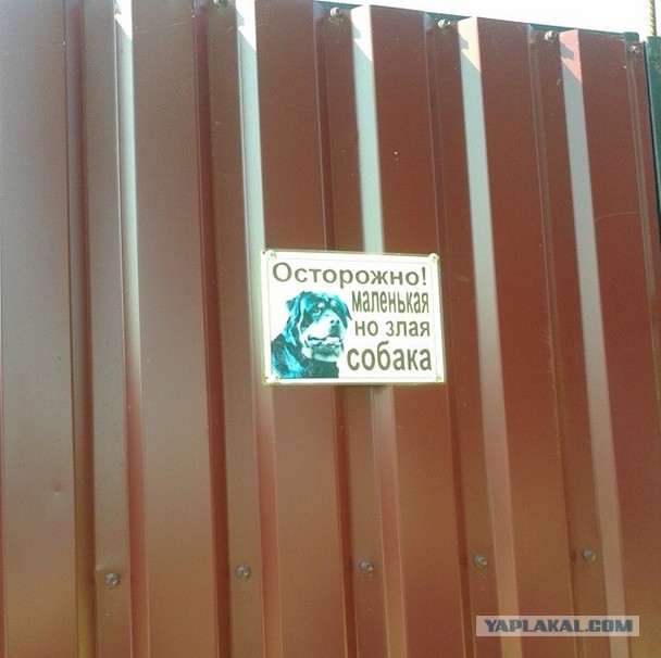 Прикольные картинки на понедельник .