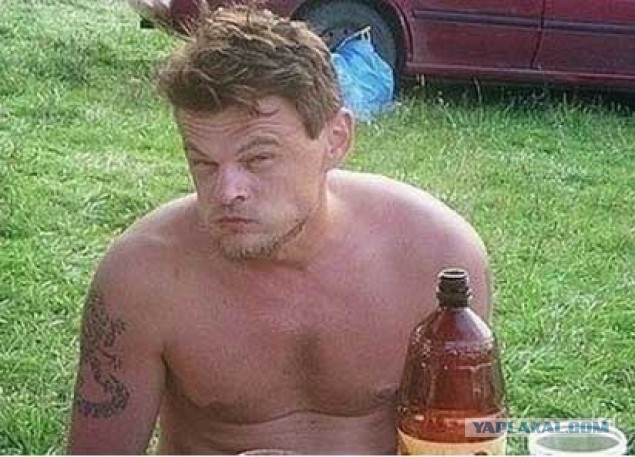 Пчелы - не лучшая пища.