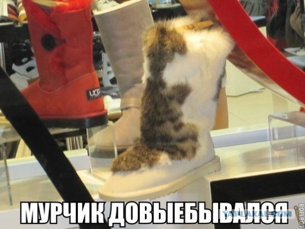 Картинки для настроения