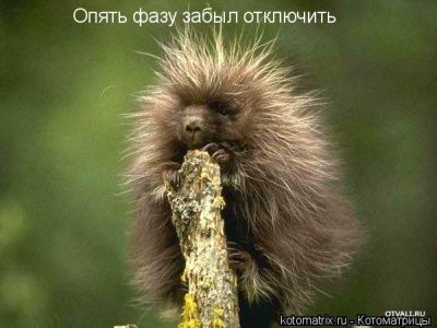 Не знаю, как назвать. Из соцсетей