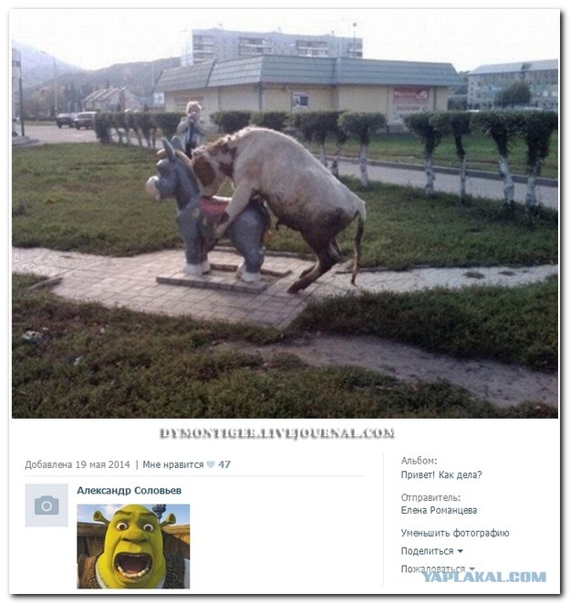 Пятница и 4 дня выходных!